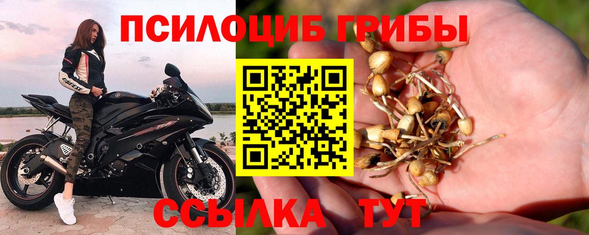 Псилоцибиновые грибы прущие грибы Ачхой-Мартан