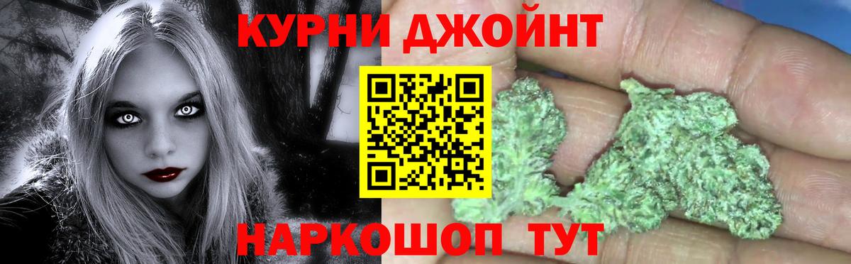 Бошки Шишки сатива Ачхой-Мартан